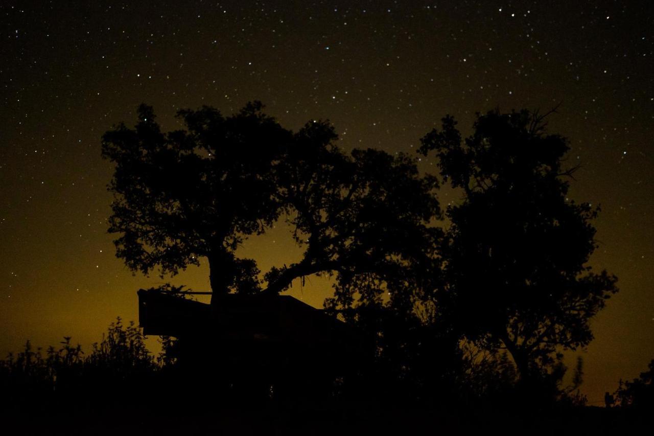 Herdade Do Rio Torto Portel Exterior foto